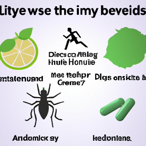 VIII. Getting Rid of Lyme Disease: How Nutrition and Exercise Can Help in Recovery
