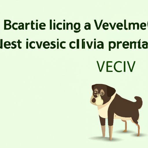 When to Call a Veterinarian if Your Dog is Constipated