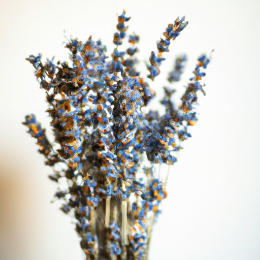 Lavender and Its Uses Beyond Its Beautiful Scent