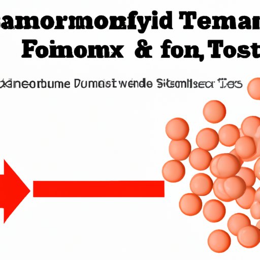 Investigating the Link Between Tamoxifen and Obesity