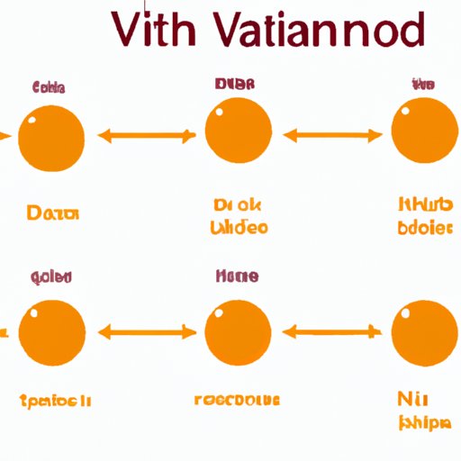 VI. Different Ways Through Which the Body Absorbs Vitamin D