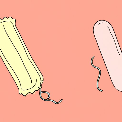  Introduction: Understanding the Tampon Debate 