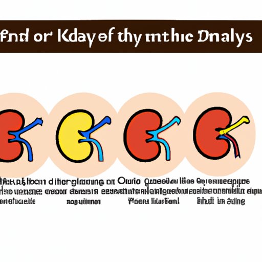 Exploring the 5 Stages of Kidney Disease and How to Manage Them