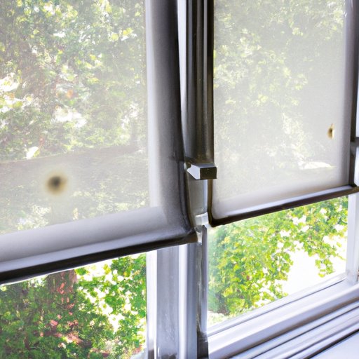 5 Homemade Solutions to Tackle Dirty Window Screens
