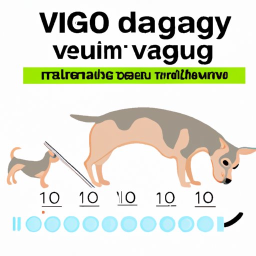 VI. Measures to take while your dog is pregnant