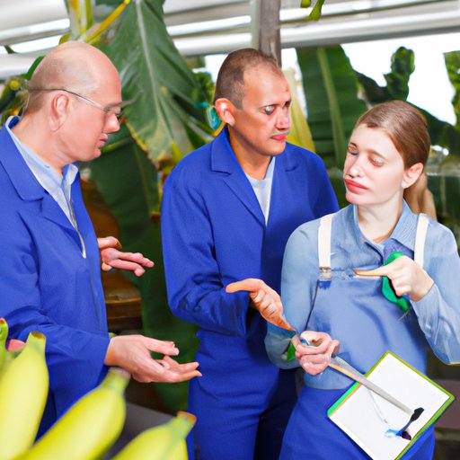 Discussing the Pros and Cons of Using Artificial Ripening Agents for Bananas