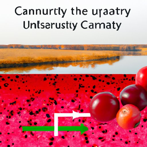 VII. Environmental Impact of Diet Cranberry Juice Production