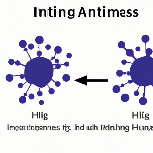 VI. Exploring the Link Between HS and Autoimmune Responses