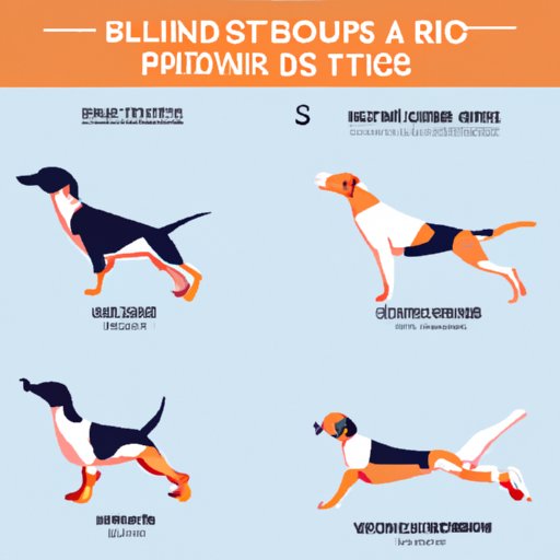 5 Variations of Bird Dog Exercises to Add Variety to Your Workout Routine