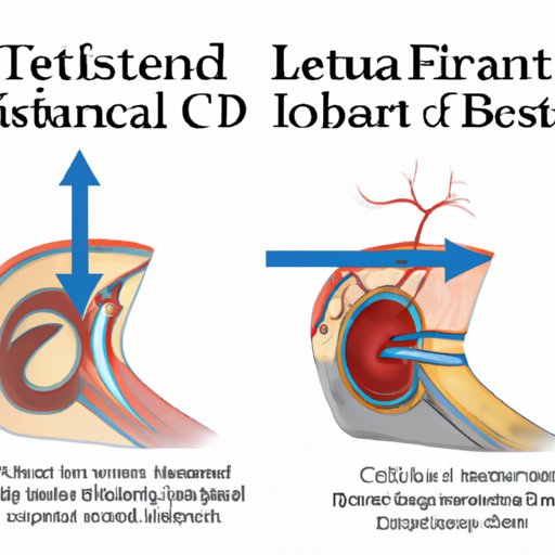 Understanding Treatment for Left Anterior Fascicular Block: Options and Outcomes